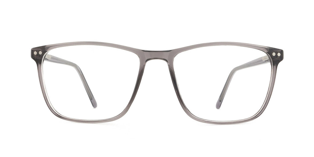 RA211A-3 | Men | Shiny Gray | CP Glasses