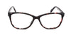 RA295-3 | Women | Shiny Brown | CP Glasses