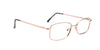 RA316-2 | Women | Shiny Brown | Metal Glasses