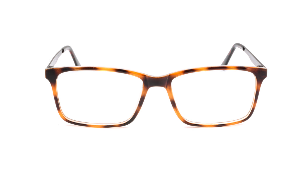 RA534-1 | Men | Shiny Demi | CP Glasses 