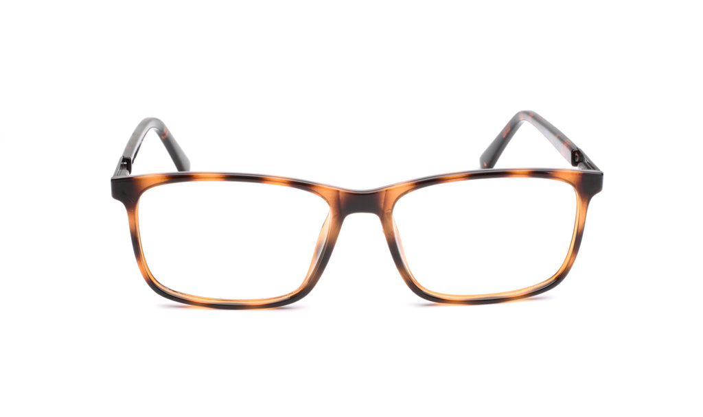 RA533-2 | Men | Shiny Demi | CP Glasses