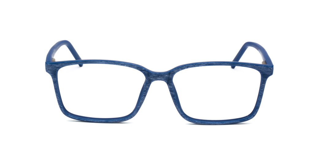 RA290-2 | Men | Matte Blue | CP Glasses