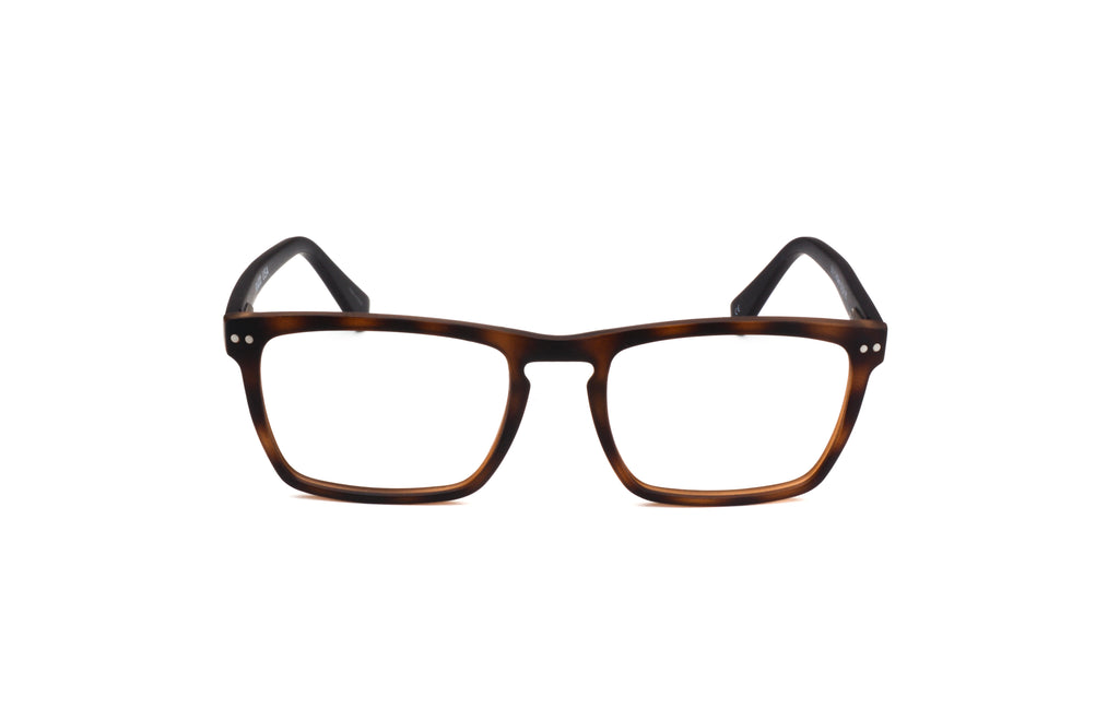 RA541-1 | Men | Matte Demi | CP Glasses 