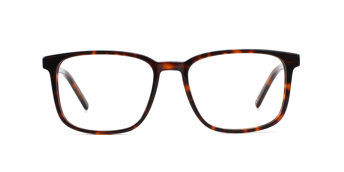 MX2023A-1 | Shiny Demi | Acetate Glasses