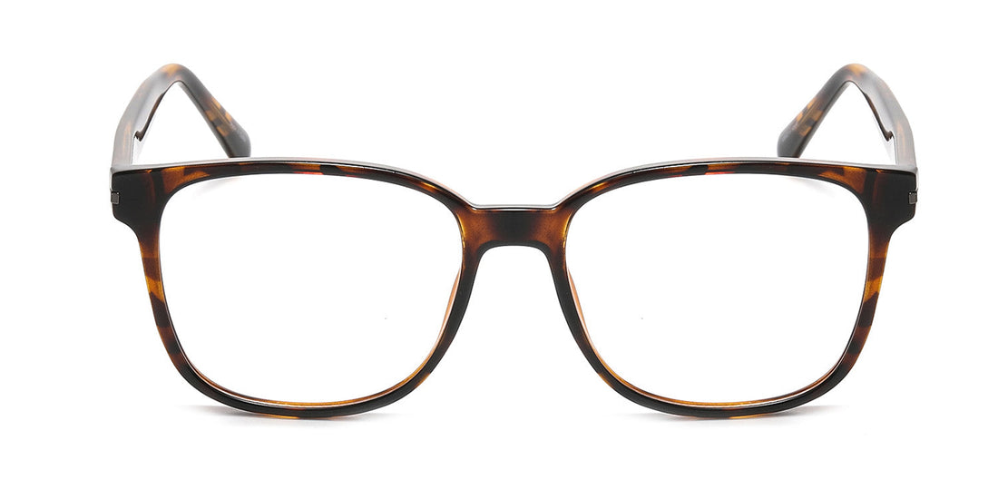 RA223A-2 | Men | Shiny Demi | CP Glasses
