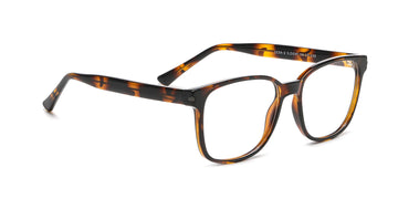 RA223A-2 | Men | Shiny Demi | CP Glasses