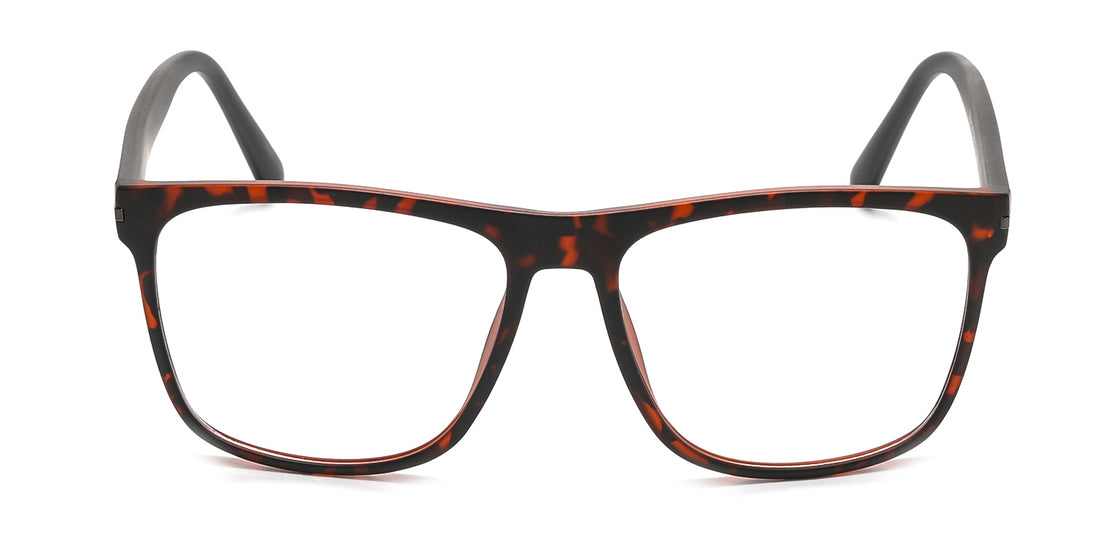 RA225A-3 | Men | Matte Demi | CP Glasses