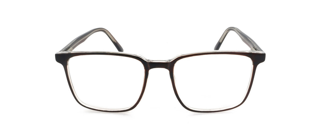 unisex-shiny-brown-cp-glasses-ra556-3