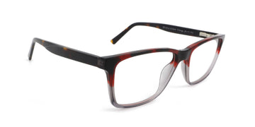 Maxima Men Shiny Demi Orange Square Acetate Glasses