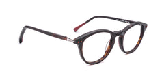 MX2203A-1 | Unisex | Matte Demi | Acetate Glasses