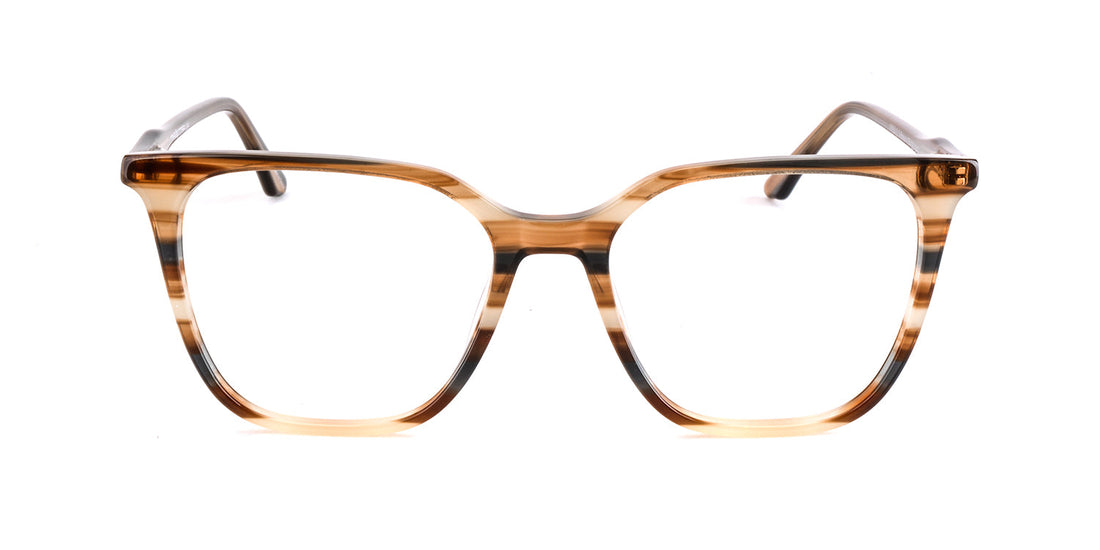 Women | Shiny Brown | Acetate Glasses - MX9050-2