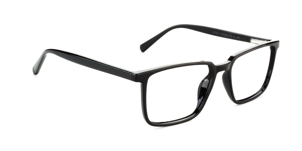 RA213A-1 | Unisex | Shiny Black | CP Glasses 