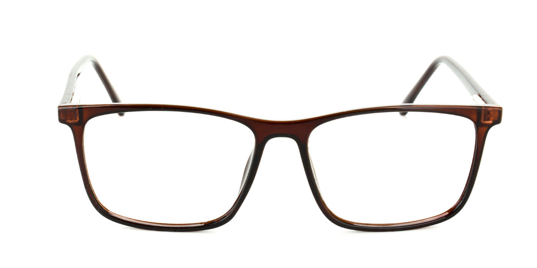 RA218A-2 | Men | Shiny Brown | CP Glasses 