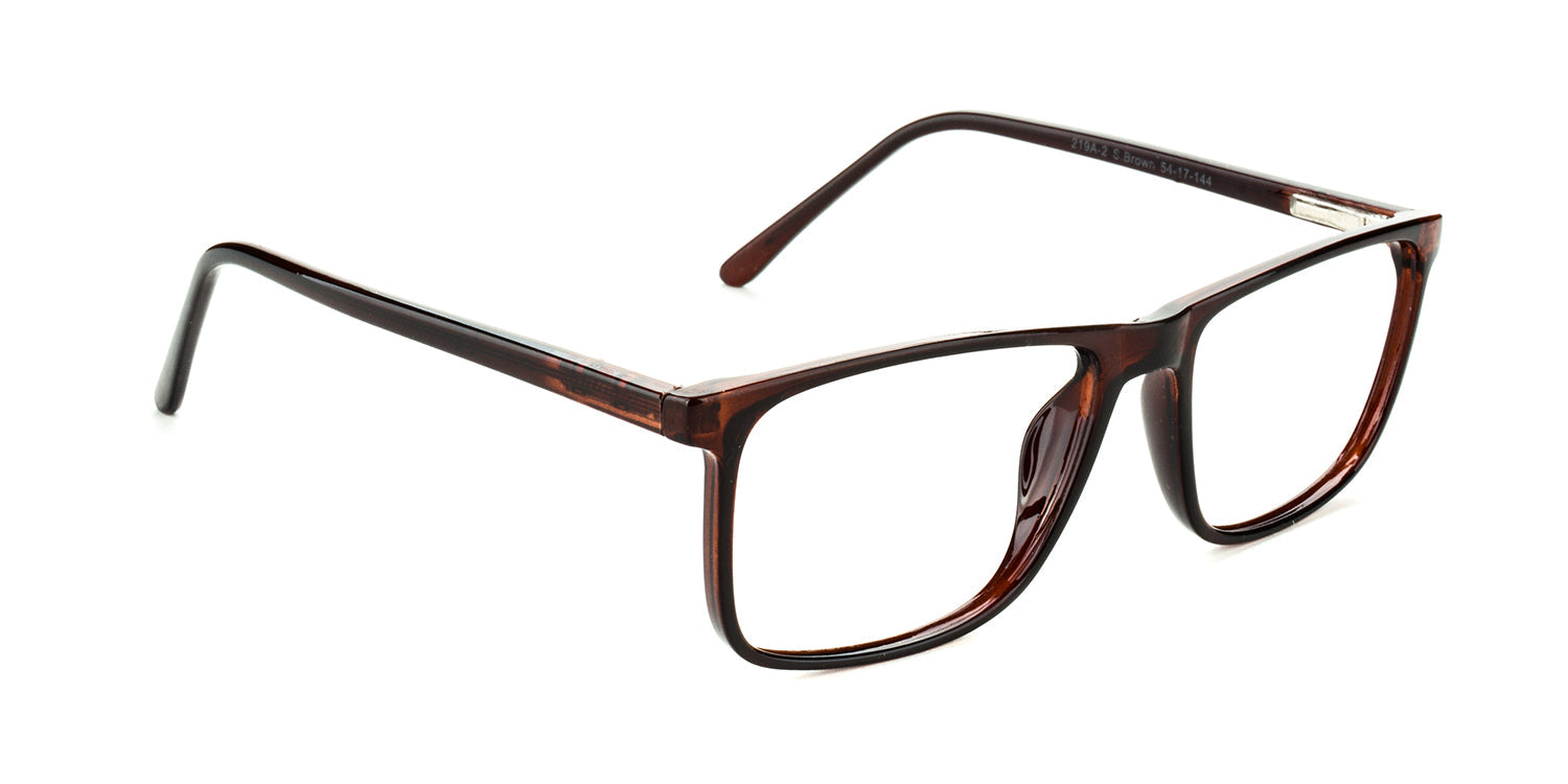 Men | Shiny Brown | CP Glasses - RA219A-2