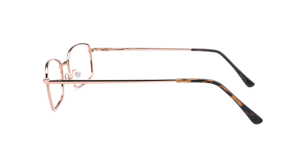 Women | Shiny Brown | Metal Glasses - RA316-2 