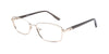 Women | Shiny Gold | Metal Glasses - RA428-1 