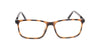 RA533-2 | Men | Shiny Demi | CP Glasses