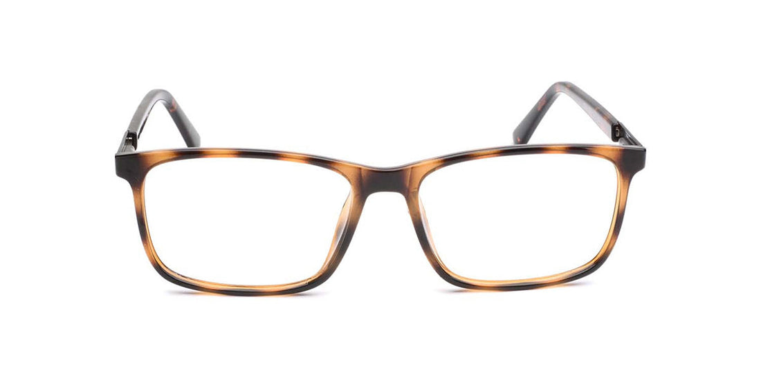 men-shiny-demi-cp-glasses-ra533-2