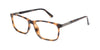 RA533-2 | Men | Shiny Demi | CP Glasses