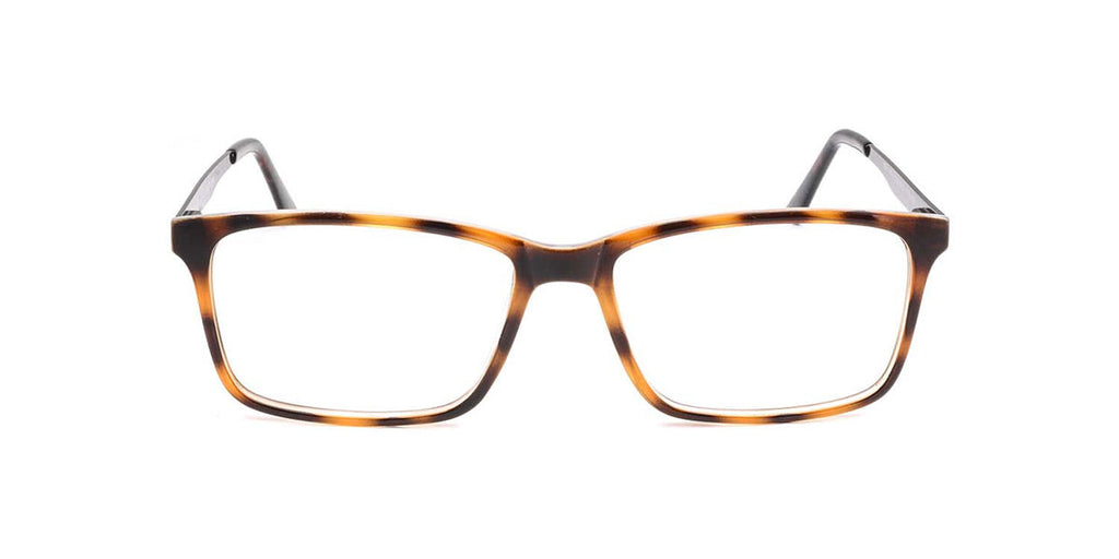 RA534-1 | Men | Shiny Demi | CP Glasses 