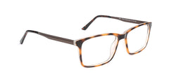 RA534-1 | Men | Shiny Demi | CP Glasses 