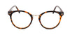 RA539-3 | Women | Shiny Demi | CP Glasses 