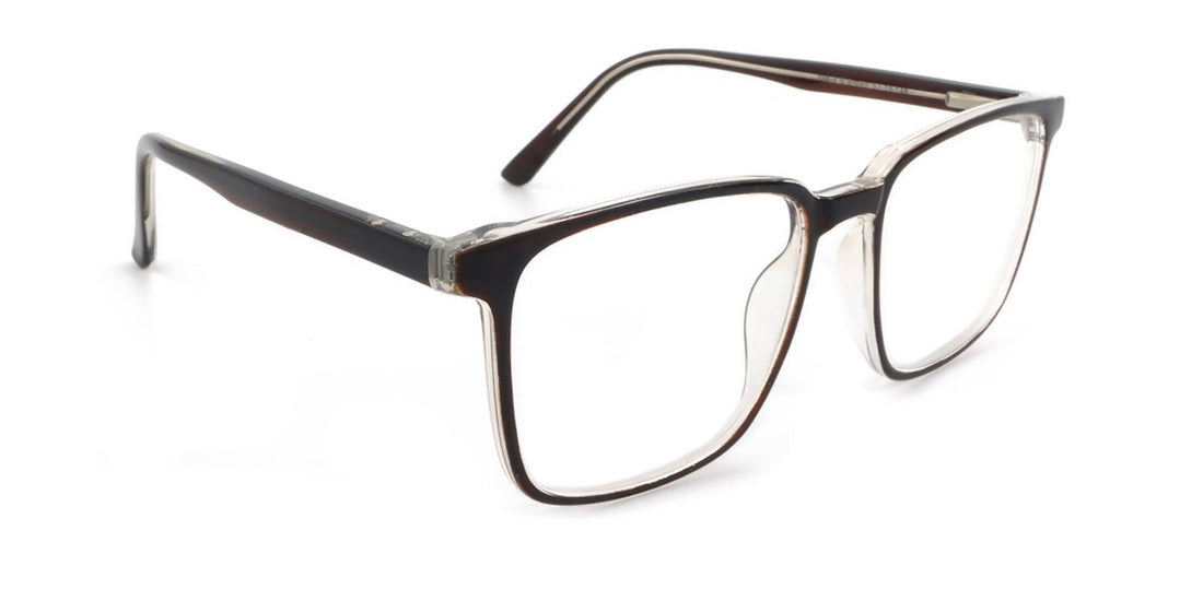 unisex-shiny-brown-cp-glasses-ra556-3