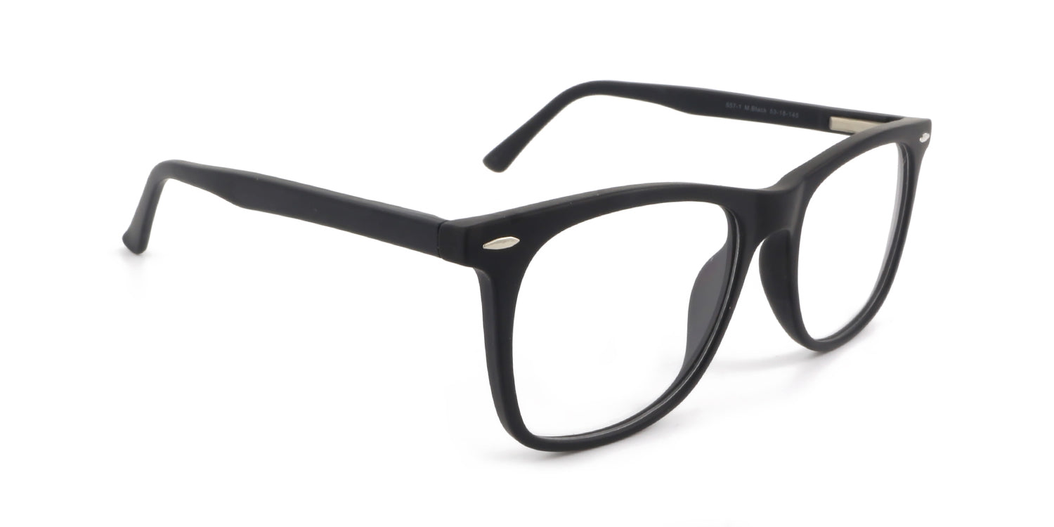 unisex-shiny-black-cp-glasses-ra557-1